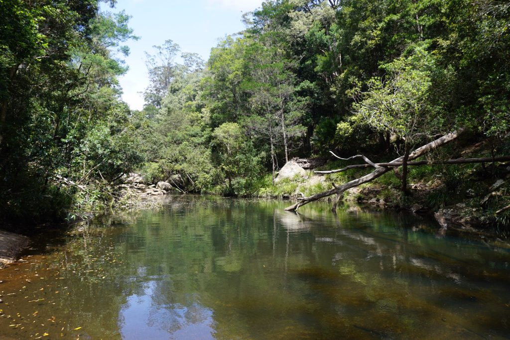 Royal Nationalpark, der See an dem wir länger verweilt haben