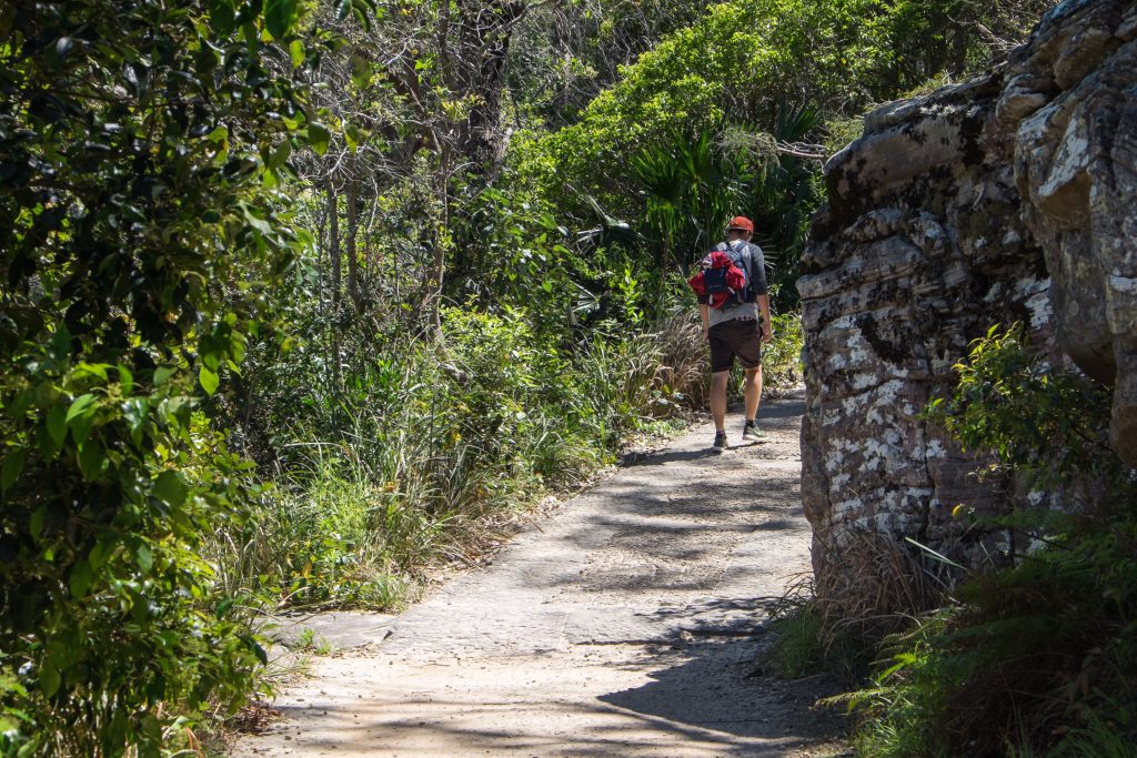 Auf dem Weg nach oben, Richtung Ausblick auf Palm Beach