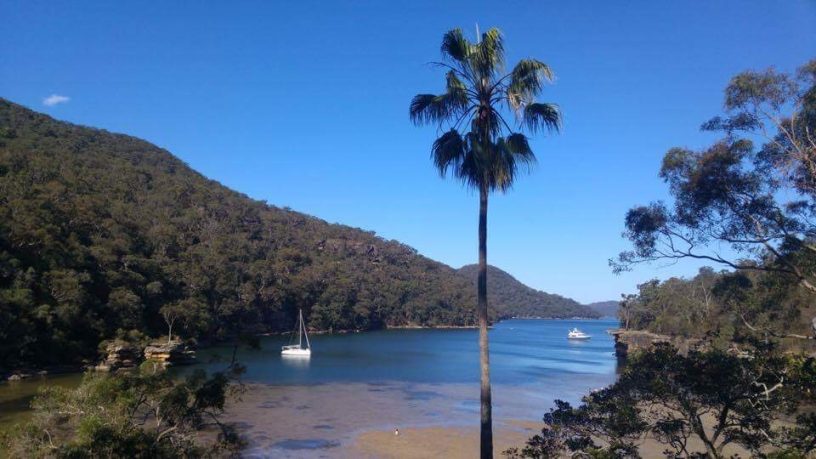 "Jerusalem-Bay", genau da drin war ich schwimmen