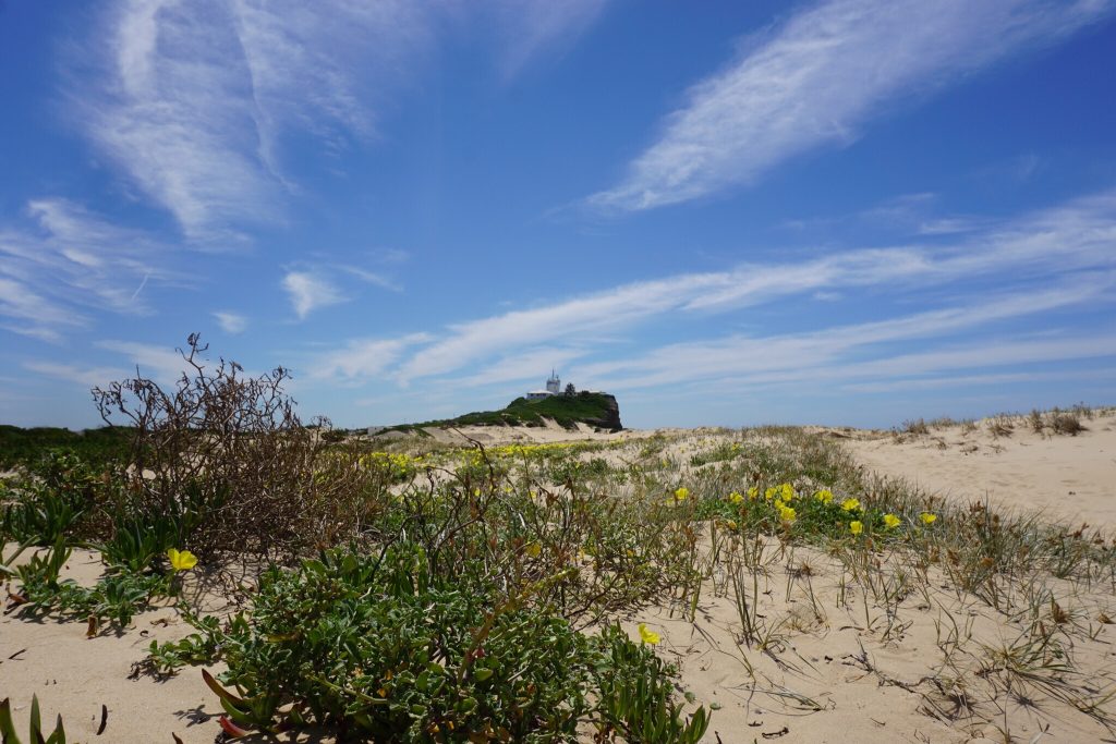 Auf der Erhöhung im Hintergrund kann man den Leuchtturm erkennen