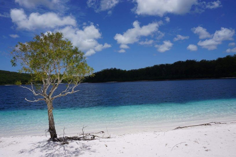 Lake Mckenzie wie er leibt und lebt