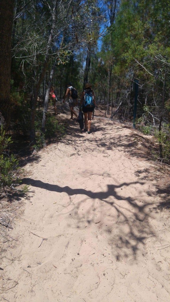 So sahen alle Wege auf der Insel aus. Alles war aus Sand. Ein bisschen unwirklich. 