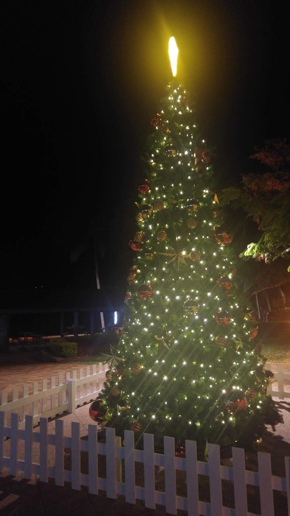 Ein Weihnachtsbaum direkt vorm Strand von Airlie Beach